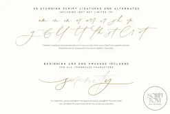 Simple Serenity Serif & Script