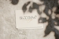 Simple Serenity Serif & Script