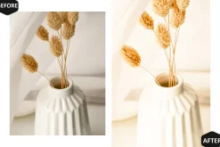 12 Simply Lightroom Presets, Bright