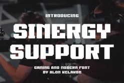 Sinergy Support