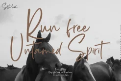 Sisterhood - Chic Brush Font
