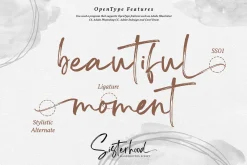 Sisterhood - Chic Brush Font