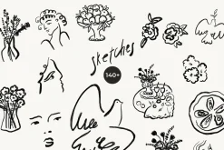 SKETCHES Line Art Drawings