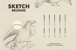 Sketch & Pencil Photoshop Brushes