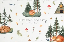 Sleeping FOREST. Watercolor animals