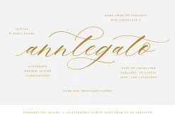 Slight, A Calligraphy Font