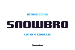 Snowbro Pixel Game Font