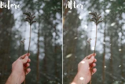 Snow overlays for Lightroom mobile
