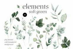 SOFT GREEN watercolor foliage