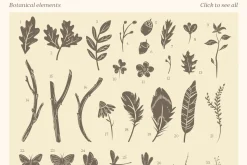 Songbirds graphic collection