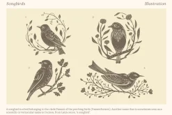 Songbirds graphic collection
