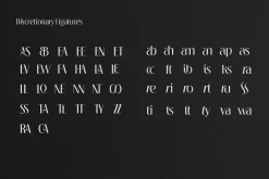 Souljiwa - Modern Branding Font
