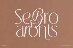 Souljiwa - Modern Branding Font