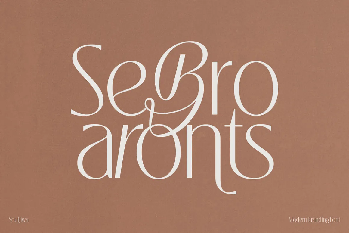 Souljiwa - Modern Branding Font