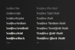 Souljiwa - Modern Branding Font