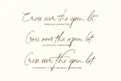 South Assign - Vintage Inspired Font