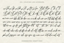 Southwest Partisan Handwriting Font