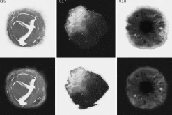 SPACE SPECIMENS retro abstract blobs