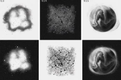 SPACE SPECIMENS retro abstract blobs