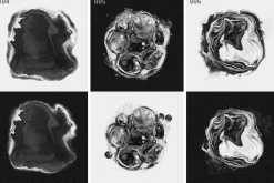 SPACE SPECIMENS retro abstract blobs
