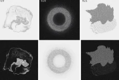 SPACE SPECIMENS retro abstract blobs
