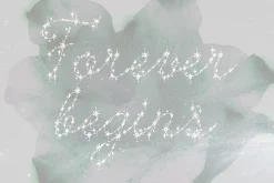 Spark Veil Decorative Glitter Font