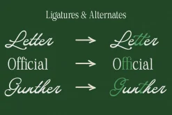 Special Handmade | Font Duo