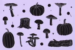 Spellbound Vector Illustrations Set