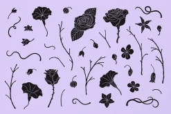 Spellbound Vector Illustrations Set