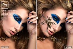 Spider Photoshop overlays