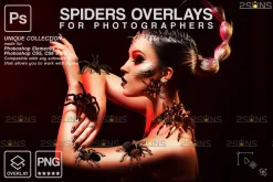 Spider Photoshop overlays