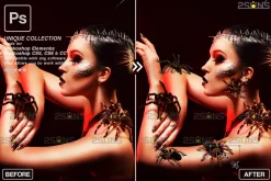 Spider Photoshop overlays