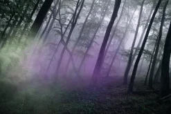 Spooky Fog and Mist Overlays