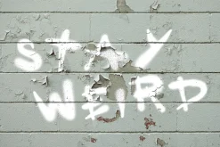 Spray the City SVG Fonts