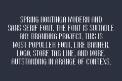 Spring Hontinga - Modern & Minimal