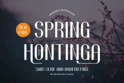 Spring Hontinga - Modern & Minimal