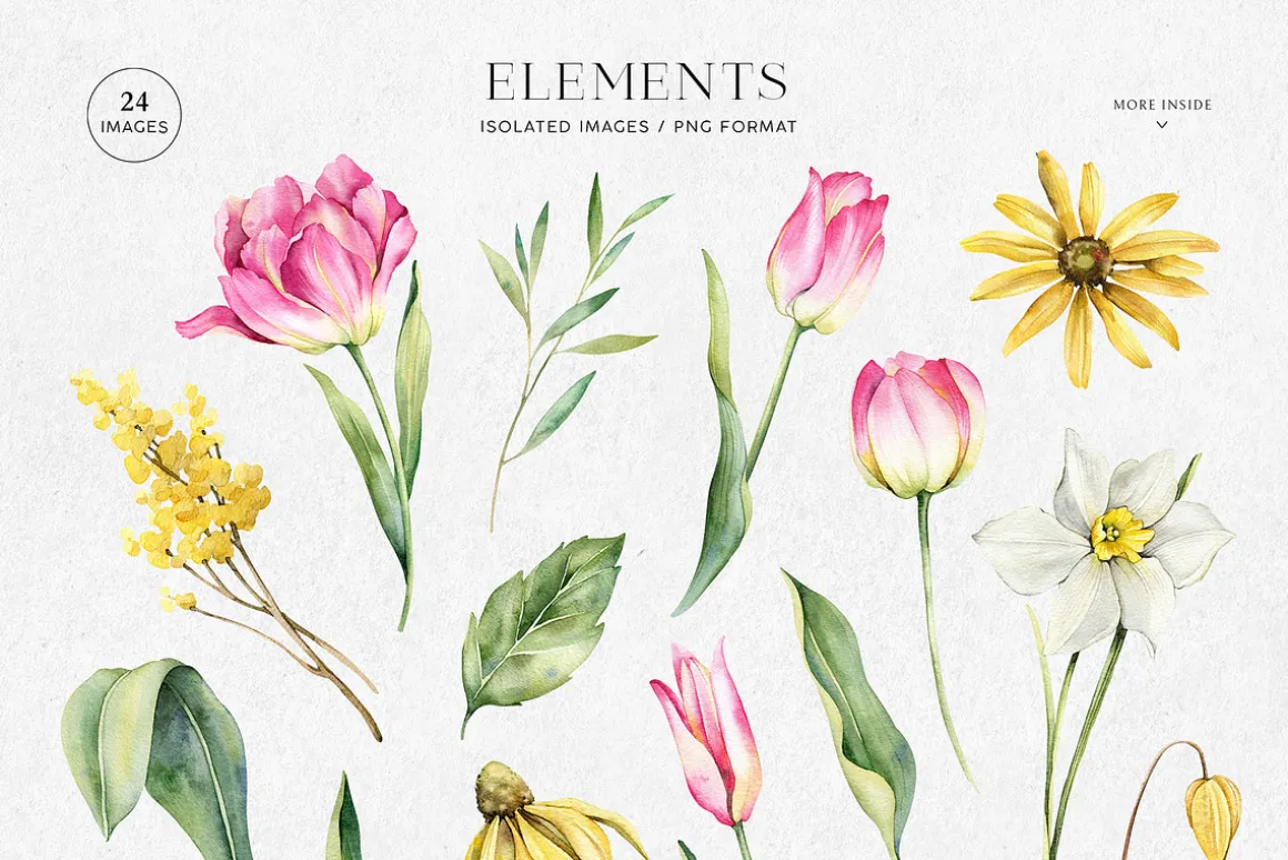 Spring Flora watercolor collection