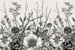Spring flowers & twigs. B&W