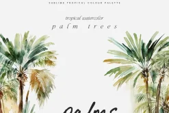 Spring Into Summer Bundle