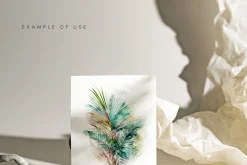 Spring Into Summer Bundle