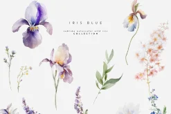 Spring Into Summer Bundle