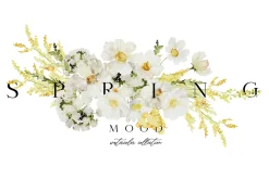 Spring mood - watercolor collection
