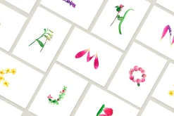 Spring Plants