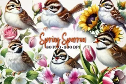 Spring Sparrow Bird Clipart