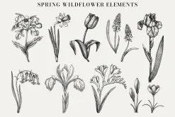 Spring Wildflower Vintage Vector Set