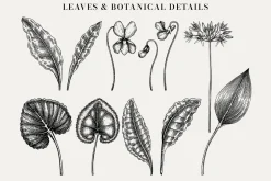 Spring Wildflower Vintage Vector Set