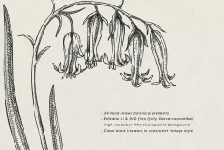 Spring Wildflower Vintage Vector Set