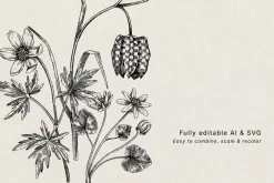 Spring Wildflower Vintage Vector Set