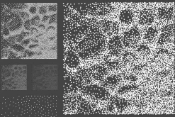200 Square Halftone Vector Megapack