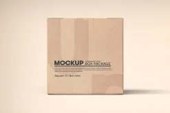 Square Kraft Paper Box Packaging